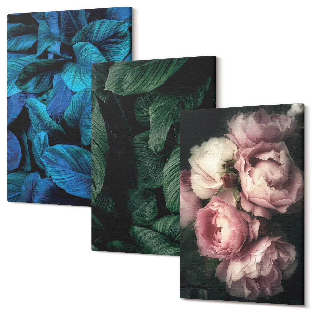 Háromrészes vászonkép szett Levelek és virágok különböző színekben