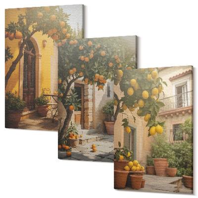 Falikép szett triptichon Napos terasz citrusfákkal és cserepekkel