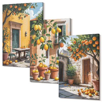 Háromrészes vászonkép szett Citrusfélék napos kerti környezetben