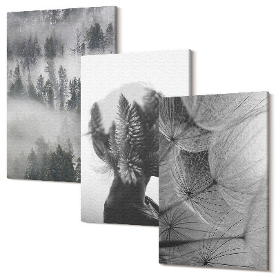 Falikép szett triptichon Erdő a ködben portré fák finom pitypang