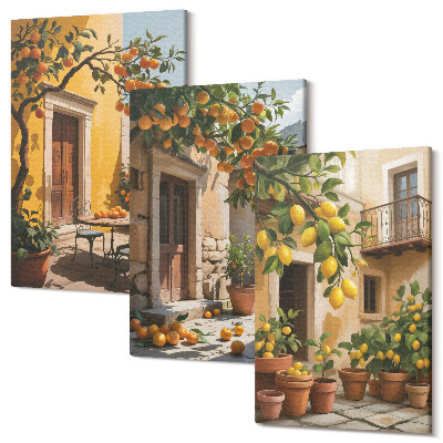 Kép szett triptichon Citrusfélék egy napsütötte udvaron növényekkel