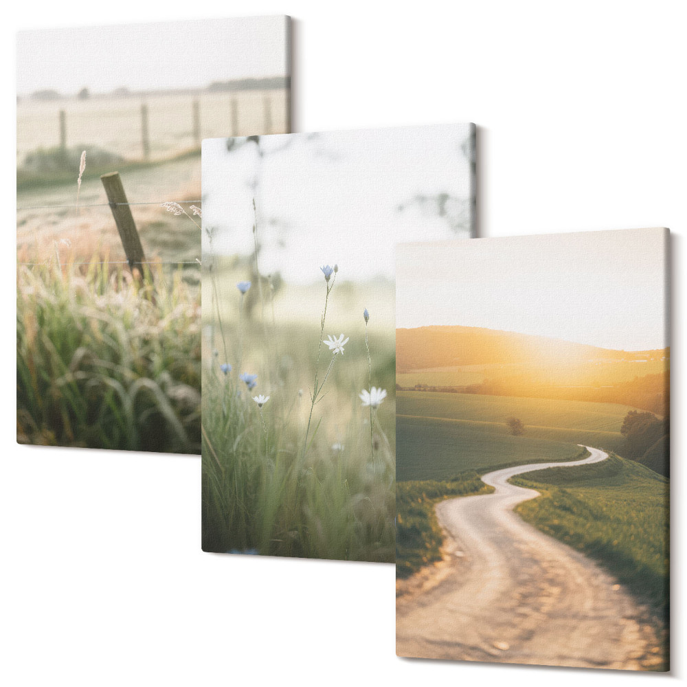 Kép szett triptichon Táj egy réttel, úttal és naplementével
