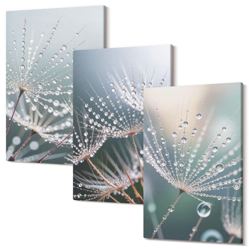 Kép szett triptichon Vízcseppek a pitypang finom hajtásain