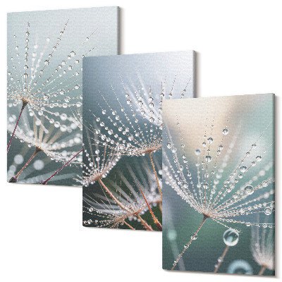 Kép szett triptichon Vízcseppek a pitypang finom hajtásain