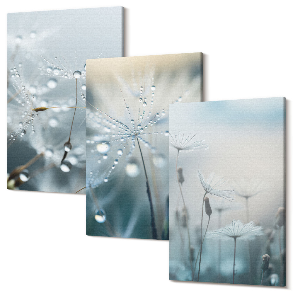 Háromrészes vászonkép szett Harmatcseppek a finom pitypangokon