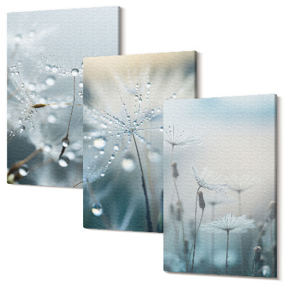 Háromrészes vászonkép szett Harmatcseppek a finom pitypangokon