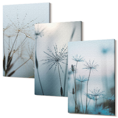 Falikép szett triptichon Finom pitypang vízcseppekkel