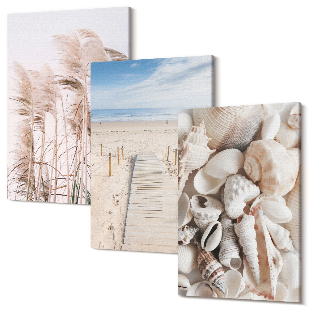 Háromrészes vászonkép szett Homokos strand kagylókkal és tengeri fűvel