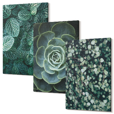 Kép szett triptichon Zamatos növények zöld levelei és finom gallyak