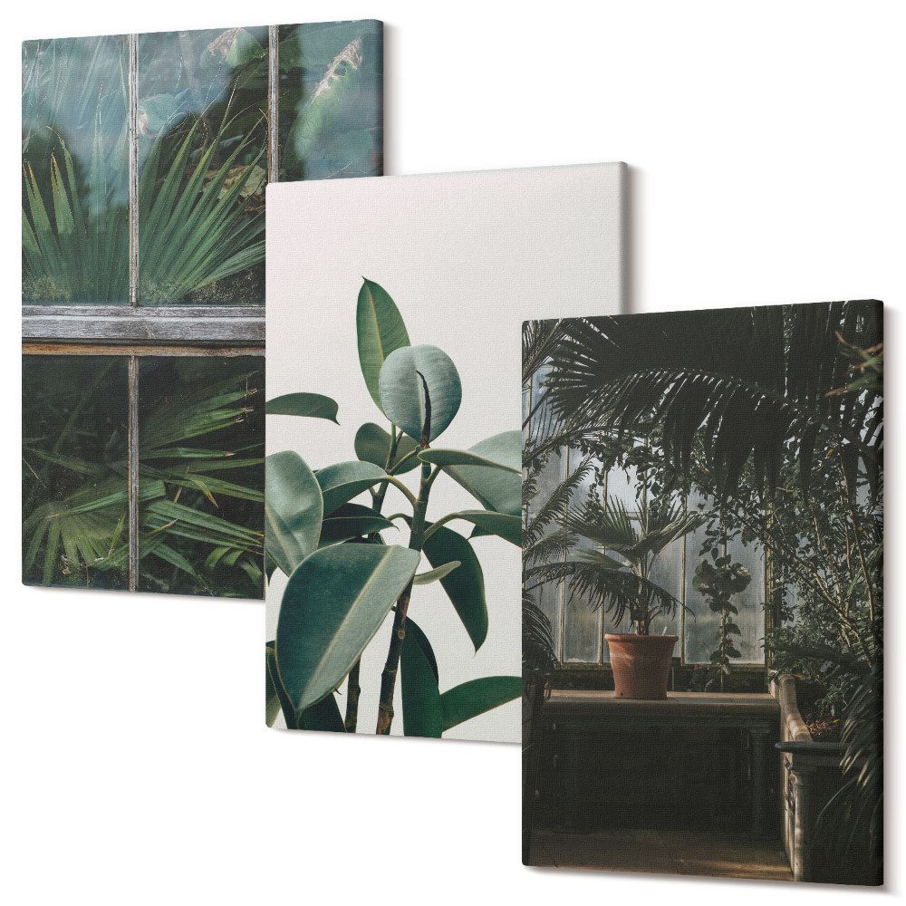 Háromrészes vászonkép szett Zöld levelek az ablakon és a növények benne