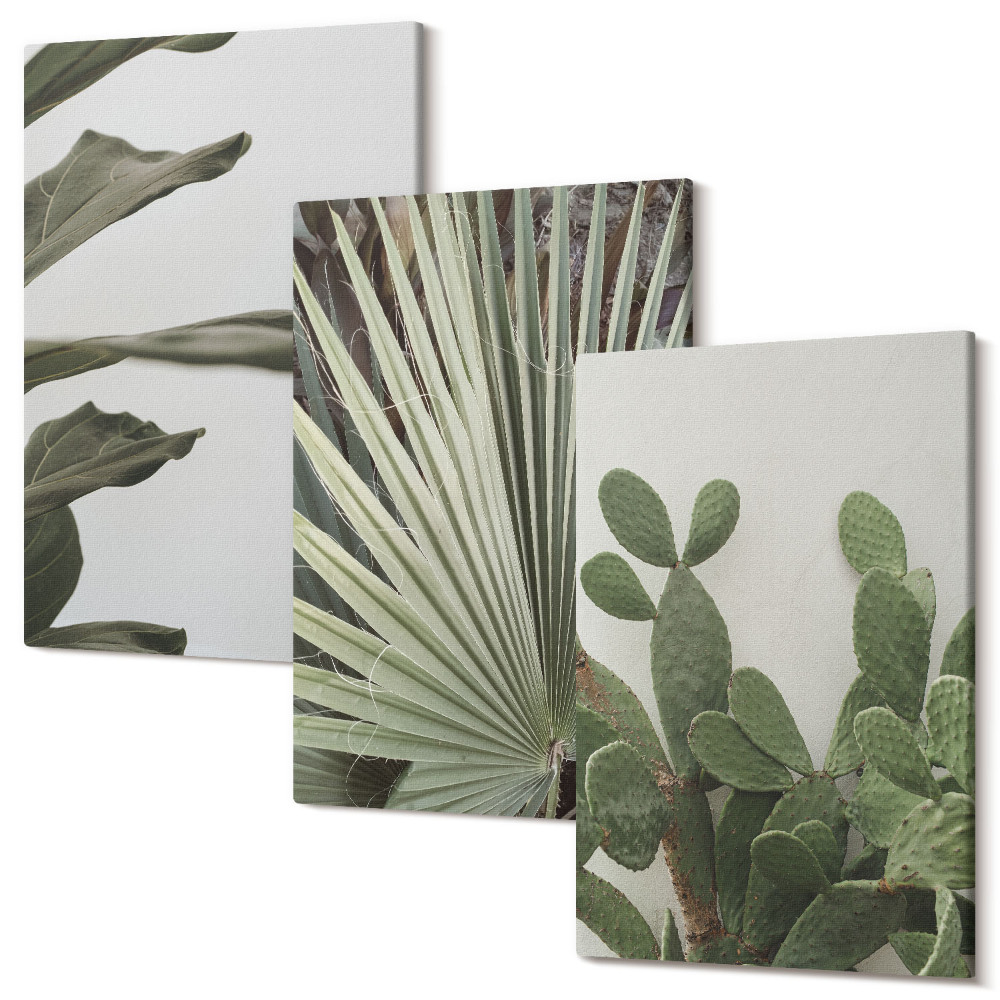 Háromrészes vászonkép szett Trópusi növények levelei pasztell színekben