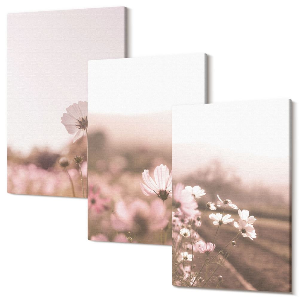 Háromrészes vászonkép szett Vadvirágok a réteken nyáron, romantikus tájak