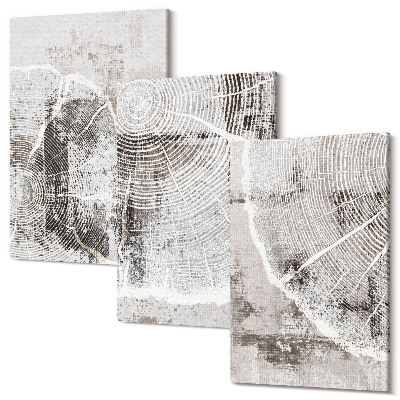 Kép szett triptichon Fa erezetminták szürke és fehér árnyalatokban