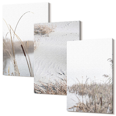 Falikép szett triptichon Vízi növényzet finom nyári kilátással