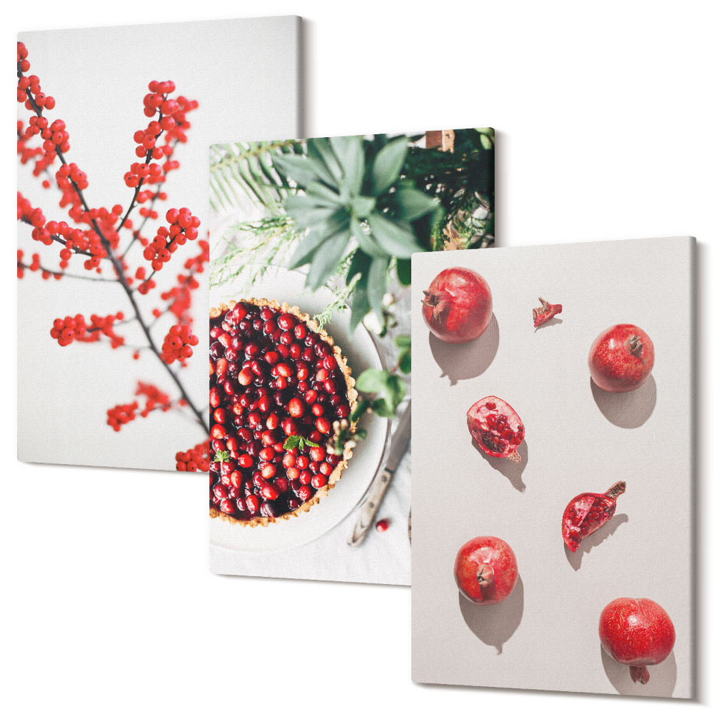 Háromrészes vászonkép szett Piros gyümölcsök és növények minimalista stílusban