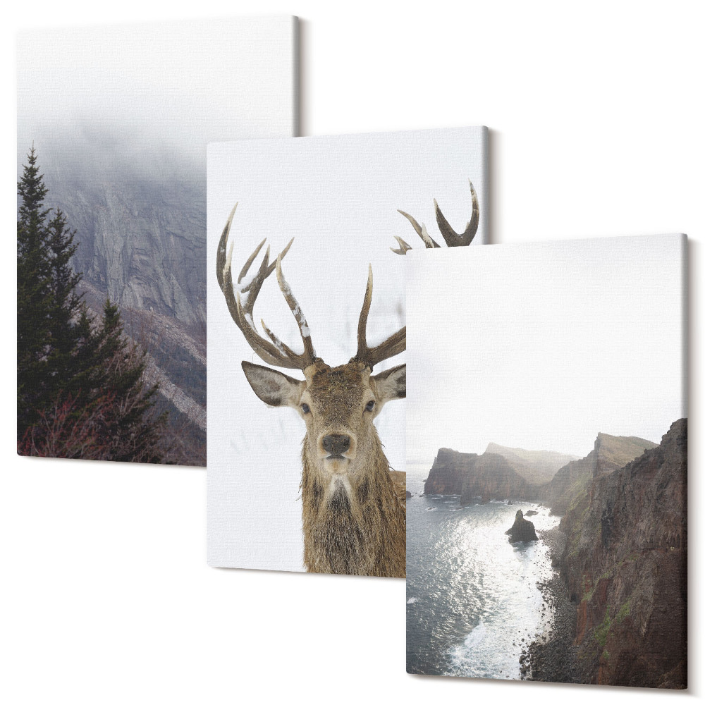 Falikép szett triptichon Hegyi táj köd, víz és szarvas