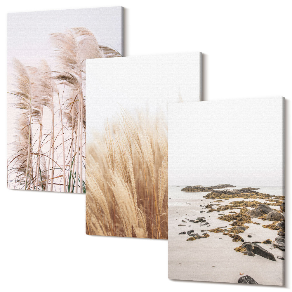 Kép szett triptichon Pampas füves mezői és boho strand