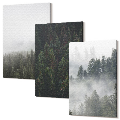 Kép szett triptichon Zöld erdők ködös természeti környezetben