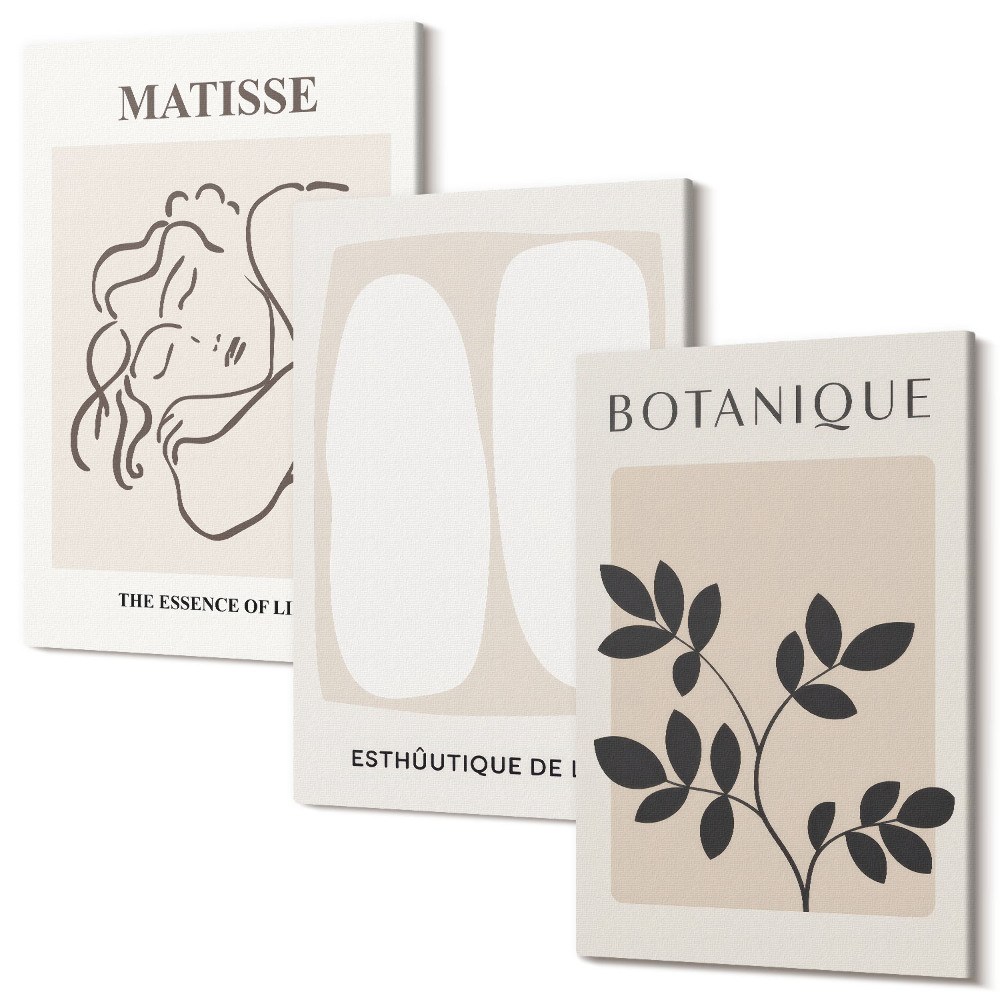 Háromrészes vászonkép szett Stílusos minimalista festmények Matisse növényi motívumokkal