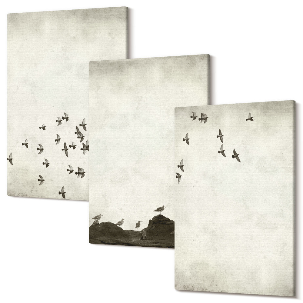 Háromrészes vászonkép szett Repülő madarak minimalista stílusban festve