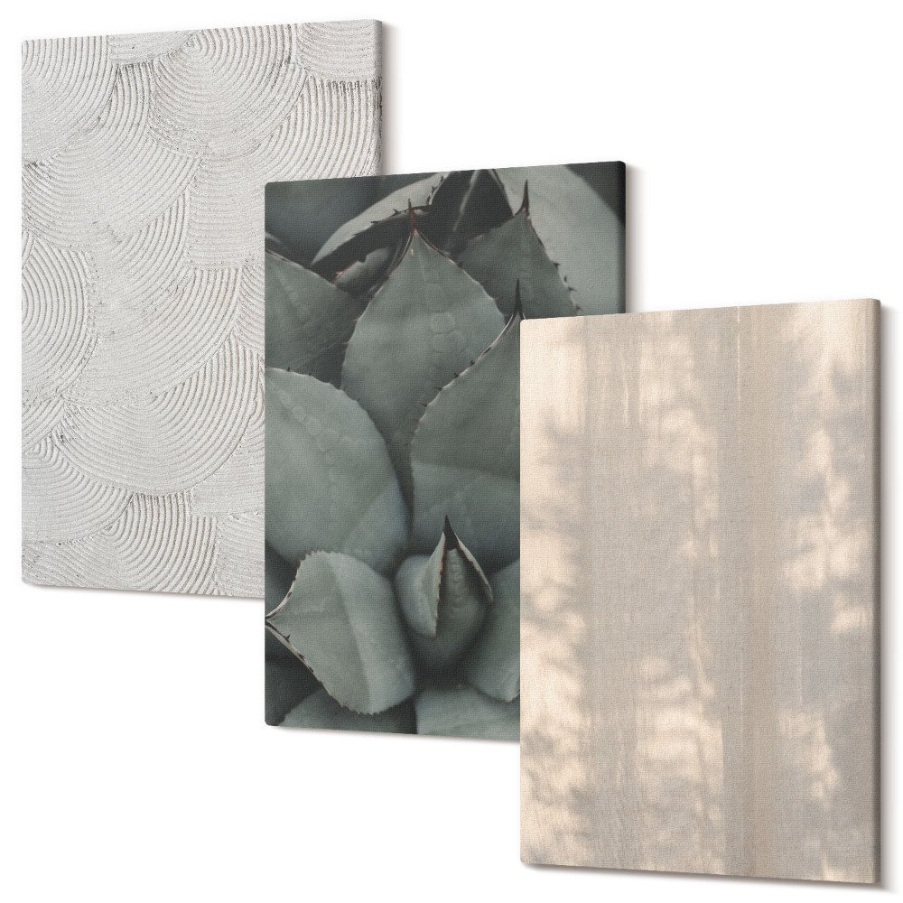 Kép szett triptichon Nyári textúrák közelről trópusi éghajlaton