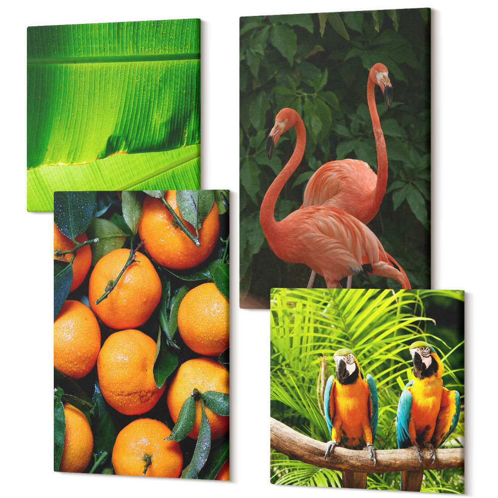 Négy részes vászonkép Gyümölcsös akcentusok papagájokkal és flamingókkal a trópusokon