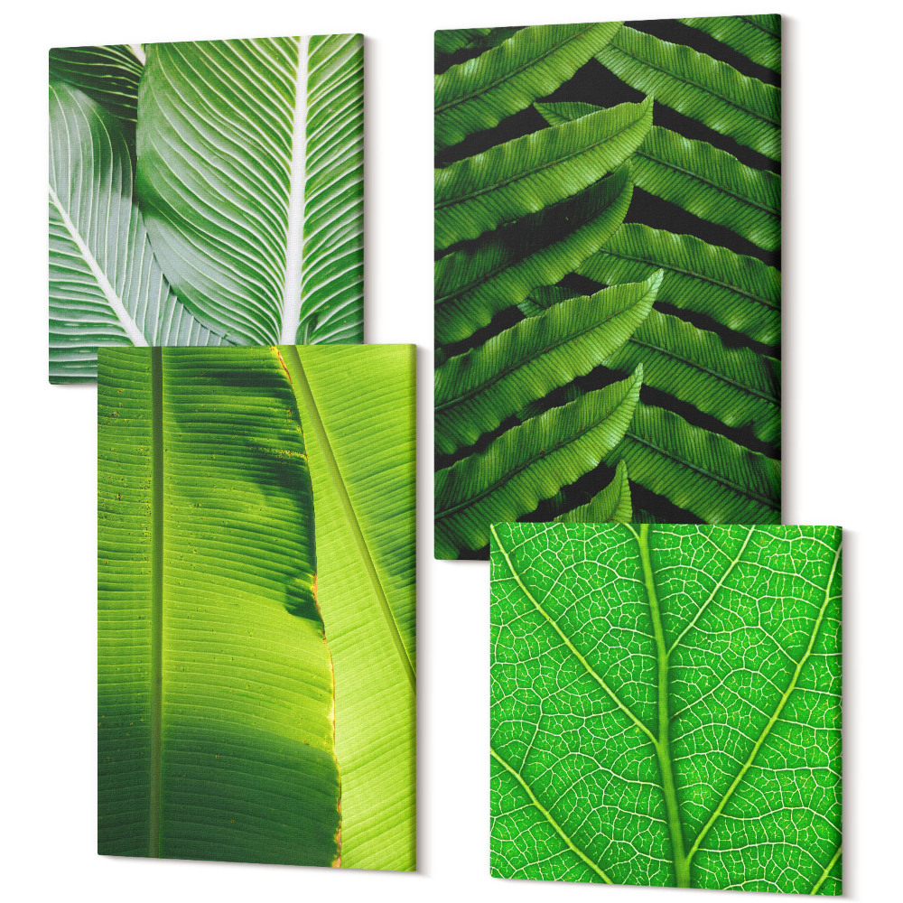 Négy részes vászonkép Közeli képek a trópusi levelekről