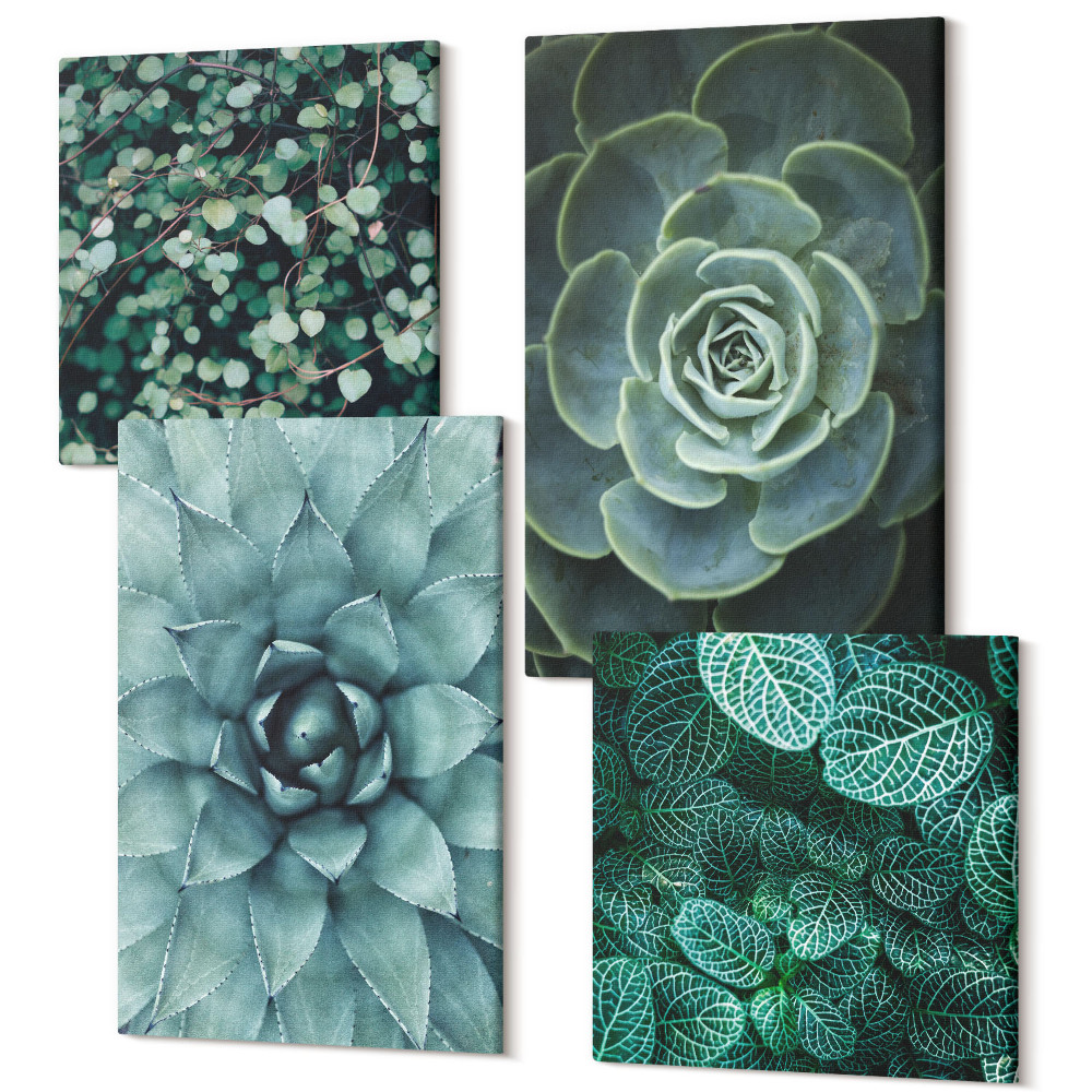 Négy részes vászonkép szett Zamatos növények a zöld és a türkiz árnyalataiban