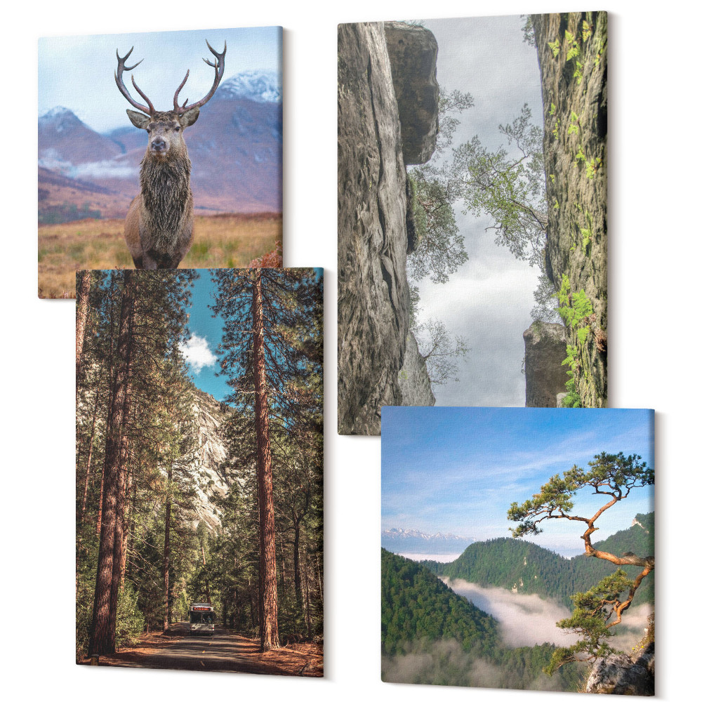Négy részes vászonkép Út az erdőben, a hegyek és a szarvas a természetben
