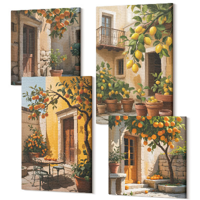 Négy részes vászonkép Citrusfélék egy napsütötte udvaron növényekkel