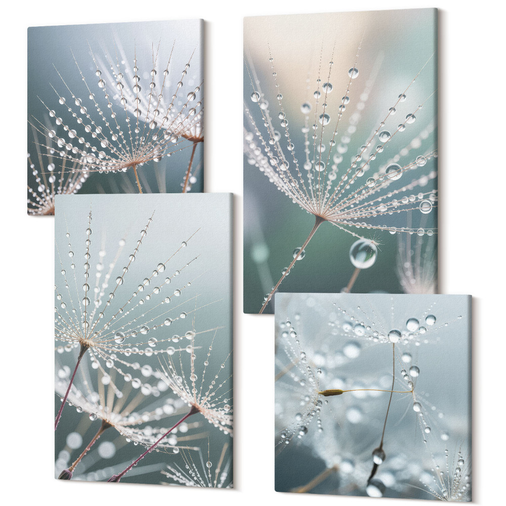 Négy részes vászonkép Vízcseppek a pitypang finom hajtásain