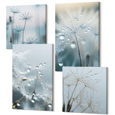 Négy részes vászonkép szett Harmatcseppek a finom pitypangokon