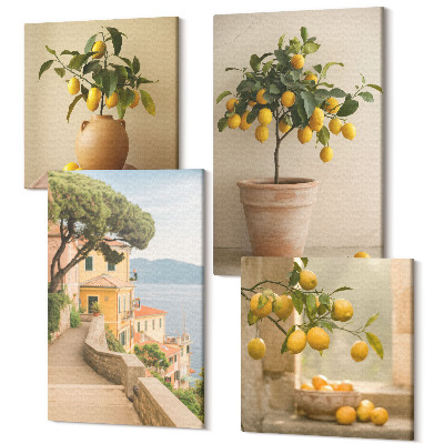Négy részes vászonkép szett Citromfák cserépben és az ablakon