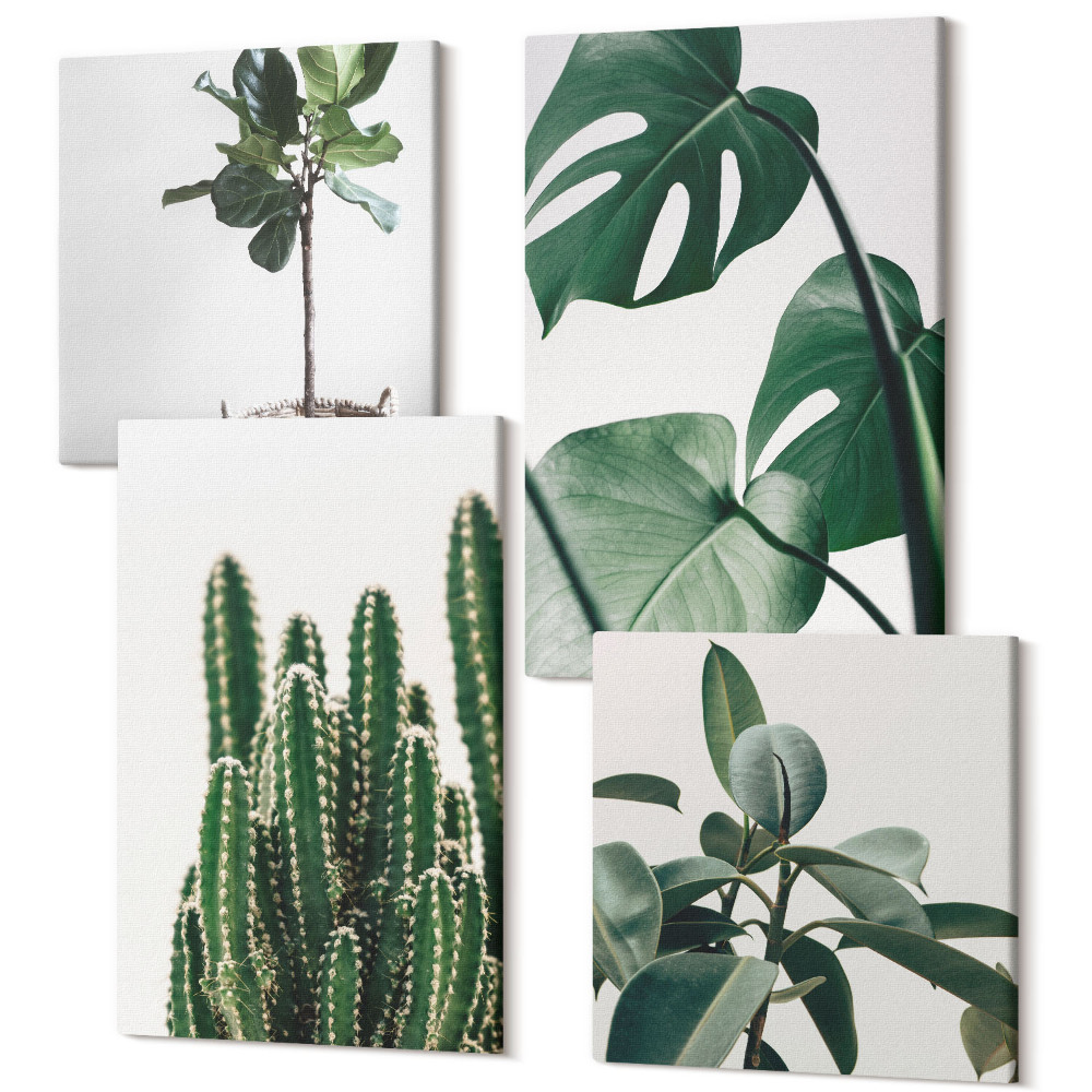 Négy részes vászonkép szett A trópusi szobanövények esztétikus levelei