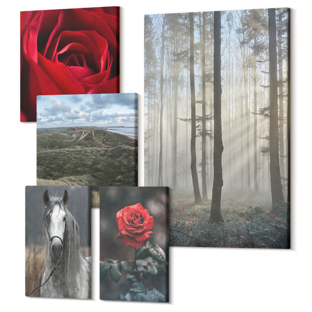 Vászonkép ötrészes Természet és virágok különböző perspektívákban és stílusokban