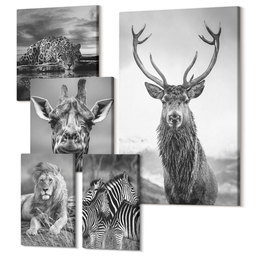 Vászonkép ötrészes Állatok fekete-fehérben a természetből és a vadon élő állatokból