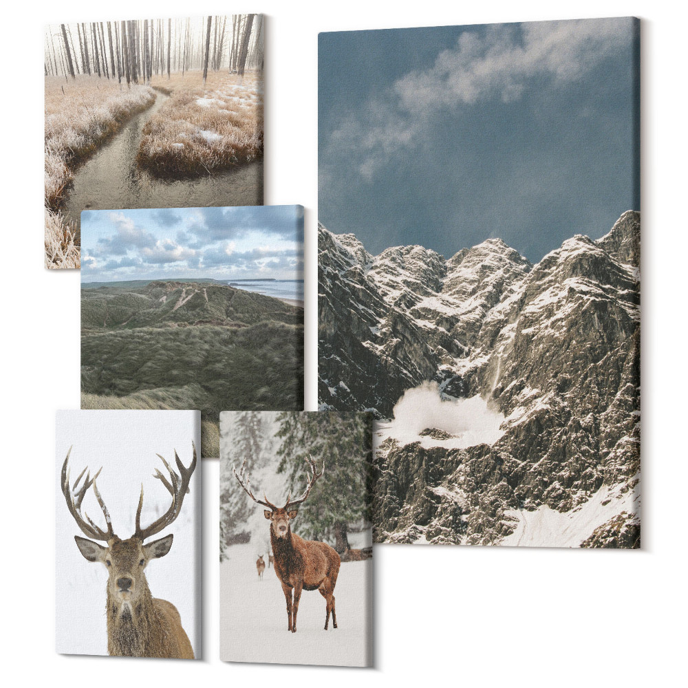 Vászonkép ötrészes Vad természet és fenséges hegyi tájak