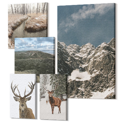 Vászonkép ötrészes Vad természet és fenséges hegyi tájak