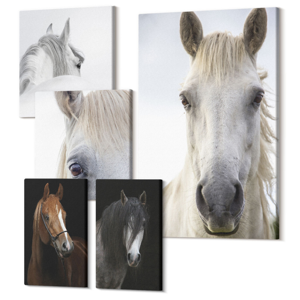 Öt részes vászonkép szett Lovak portréi különböző szögekből és művészi stílusokban
