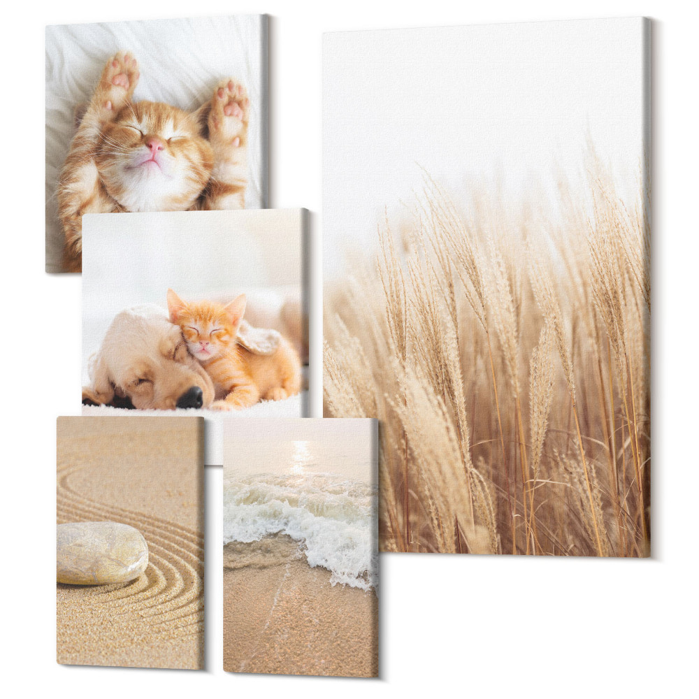 Öt részes vászonkép Bájos állatok és természeti tájak visszafogott esztétikában