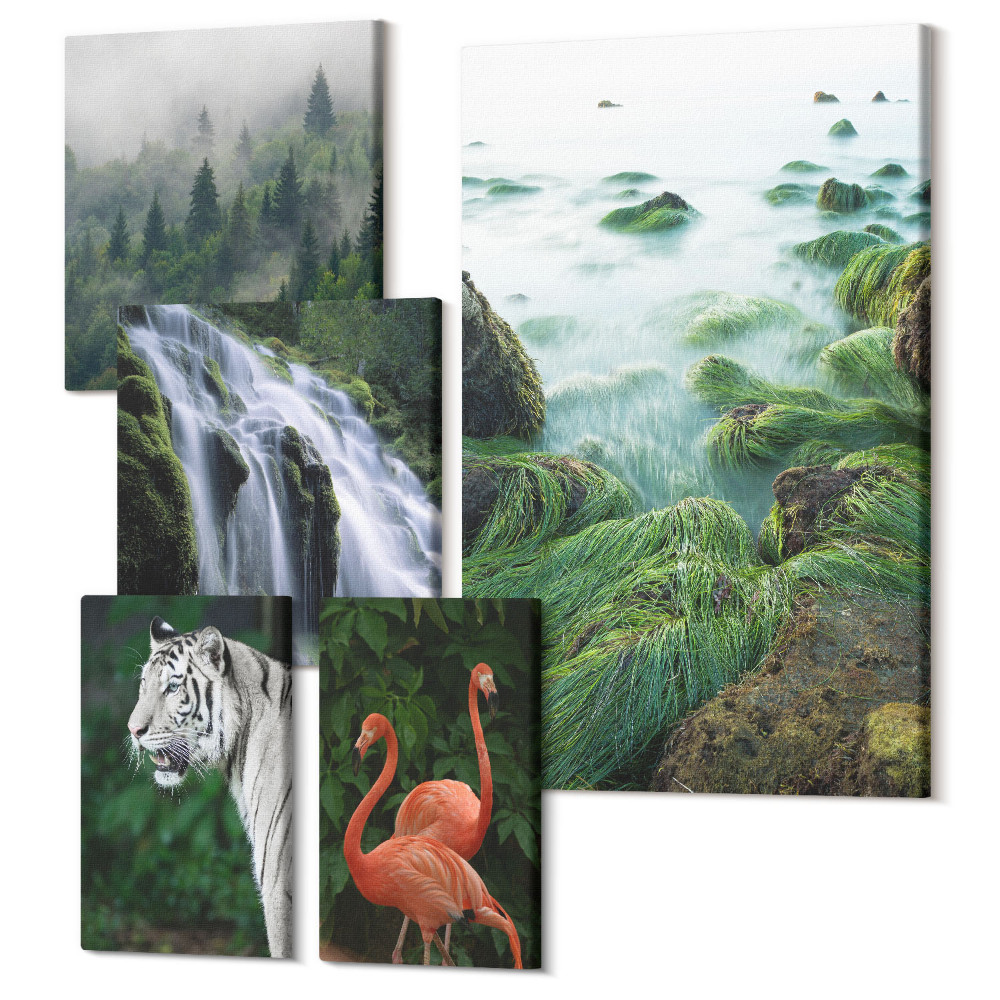 Öt részes vászonkép szett A természet változatos formáiban vadon élő állatokkal és tájakkal