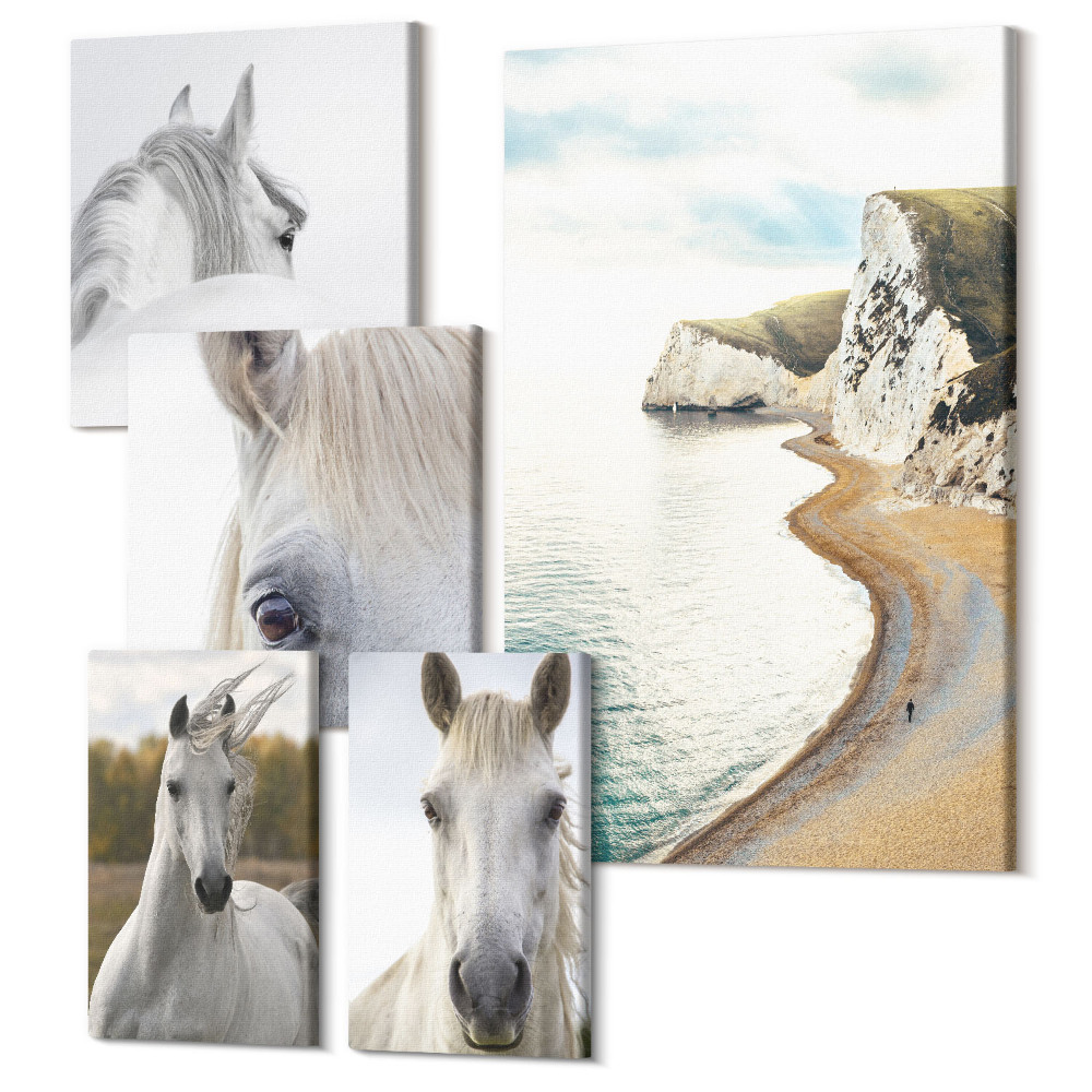 Öt részes vászonkép szett Lovak a tengerparton és a természetben minimalista stílusban