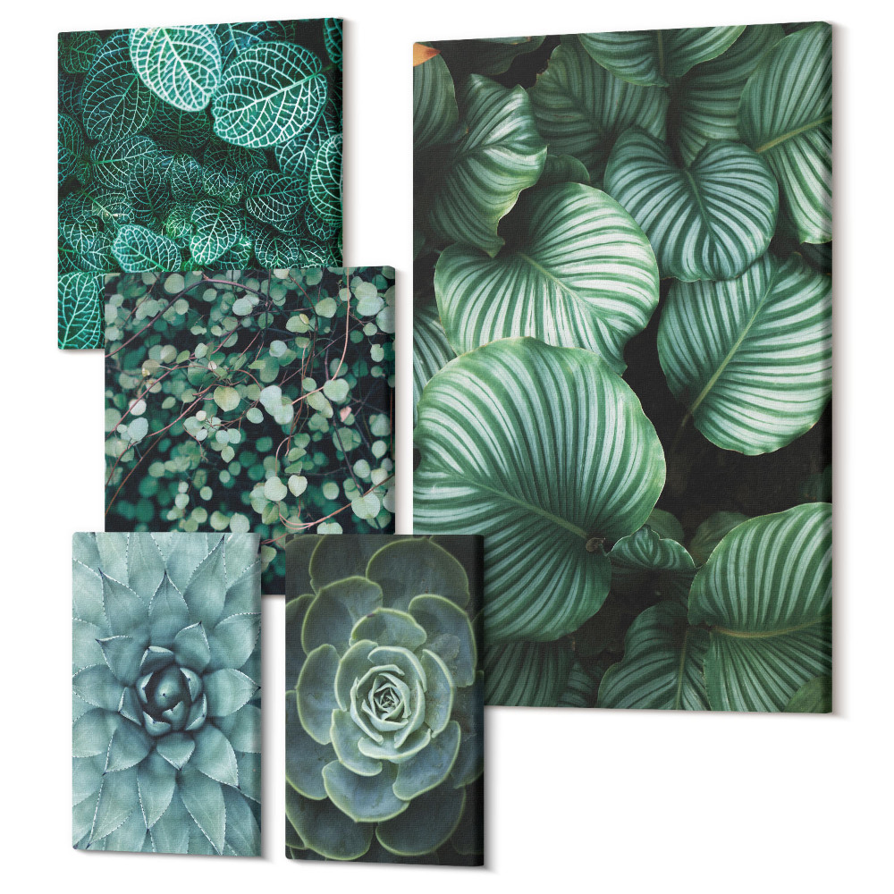 Öt részes vászonkép szett Növényi motívumok levelekkel és pozsgások természetes stílusban