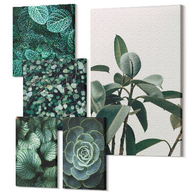 Vászonkép ötrészes Növényi motívumok zöld levelekkel és pozsgások