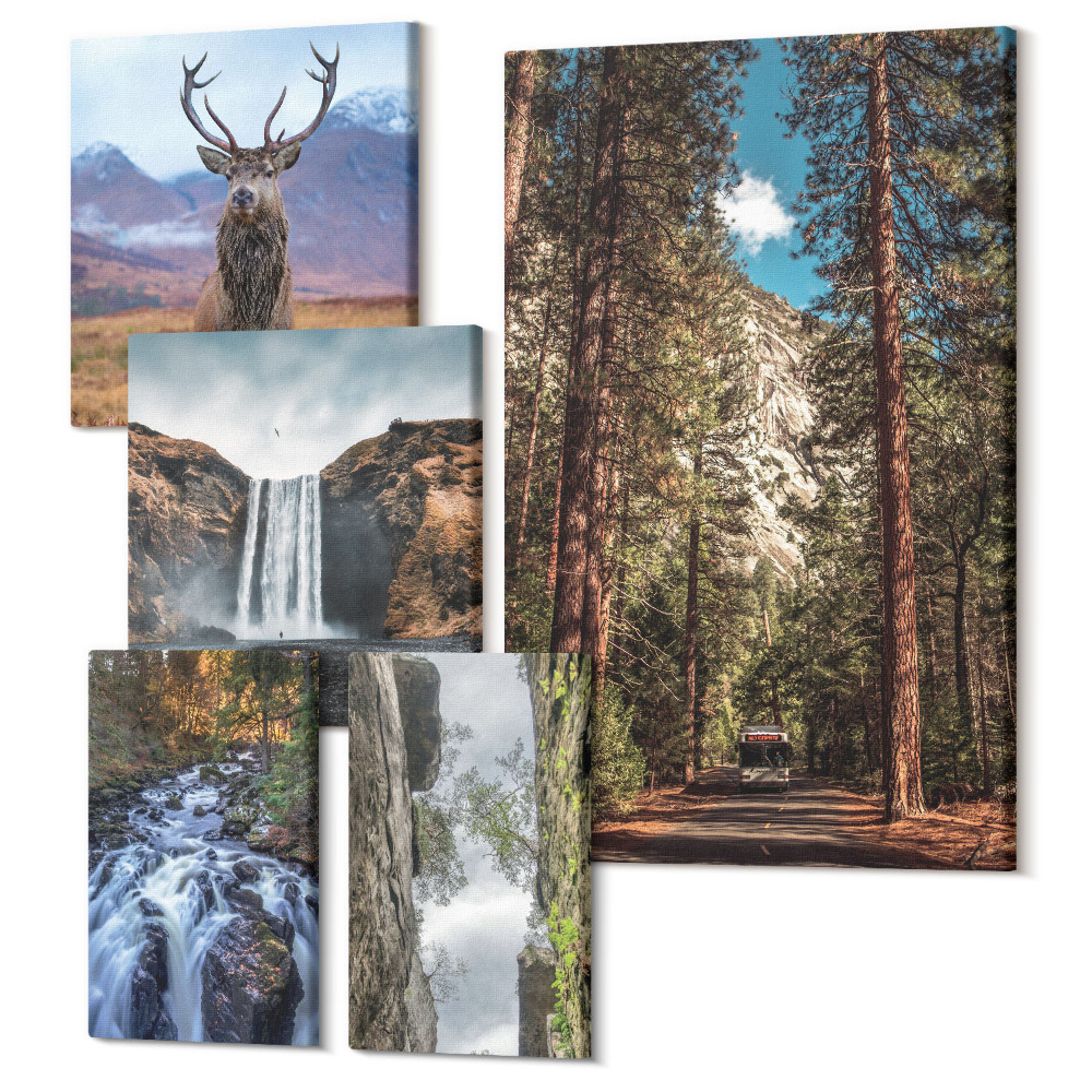 Öt részes vászonkép Természeti tájak vízesésekkel és vadvilággal