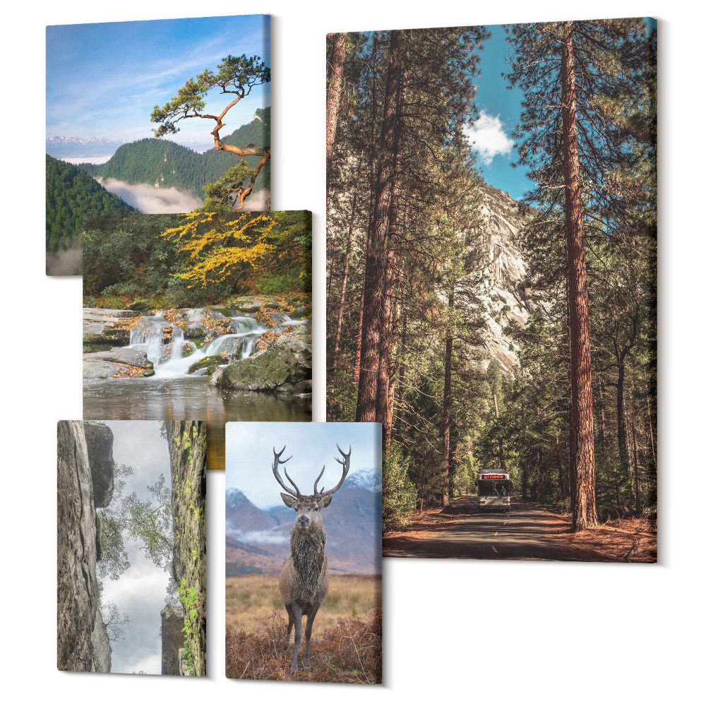 Öt részes vászonkép szett Természeti tájak hegyvidéki erdők és élővilág