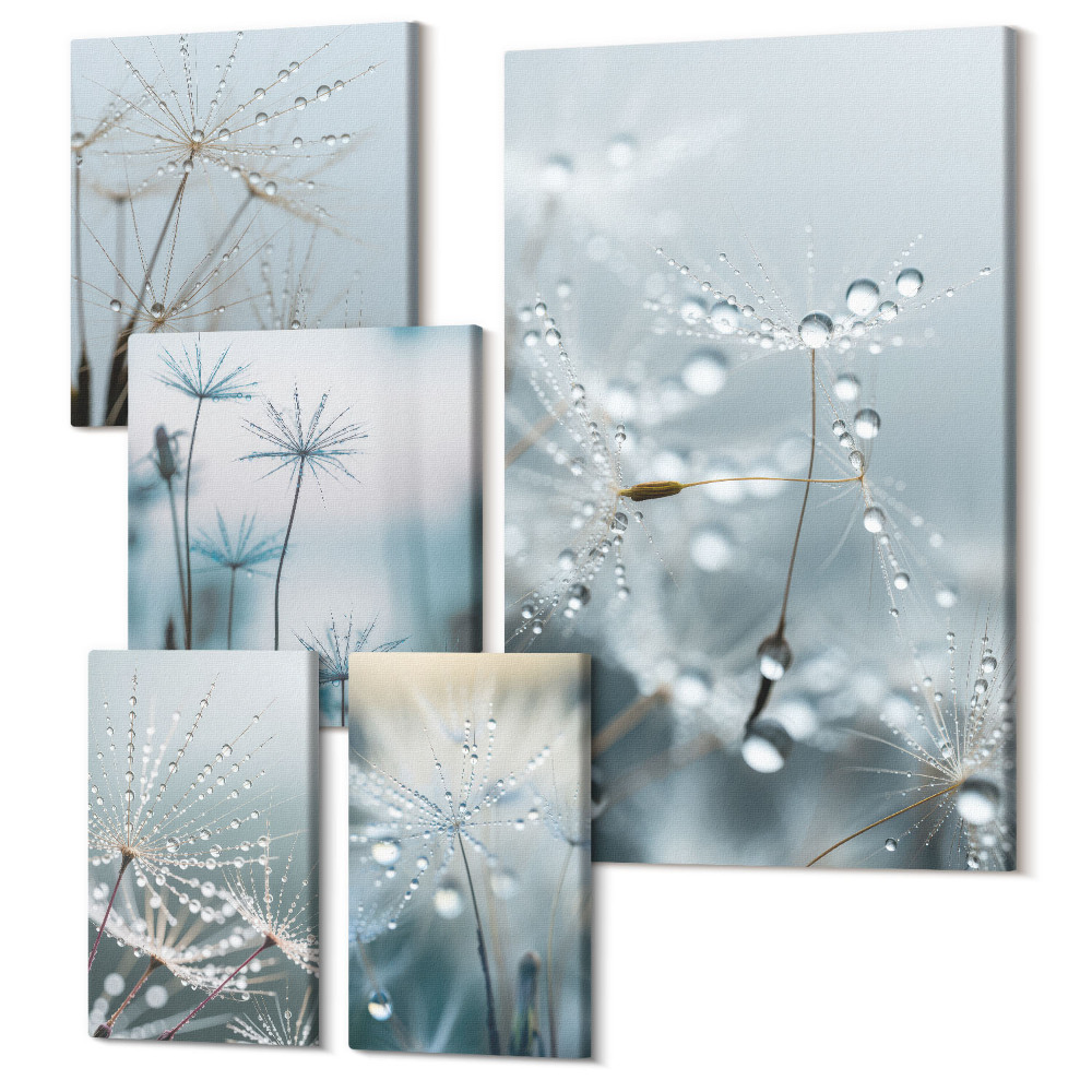 Öt részes vászonkép Finom növényi motívumok vízcseppekkel természetes háttér előtt