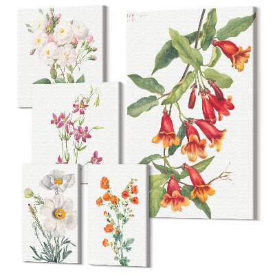 Öt részes vászonkép szett Botanikai virágmotívumok vásznon