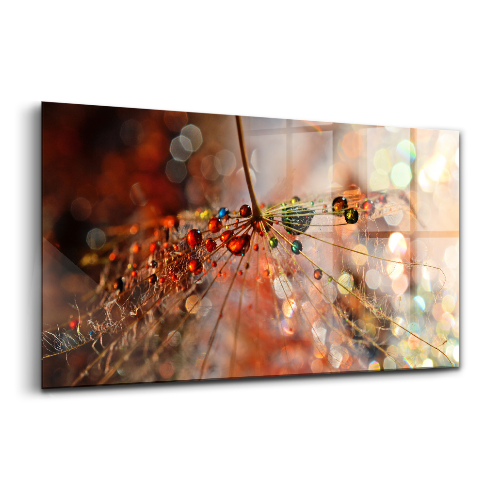 Üvegkép Harmatos fúvóka