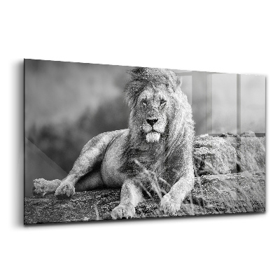 Egyedi üvegkép Néha az oroszlánért érdemes megállni
